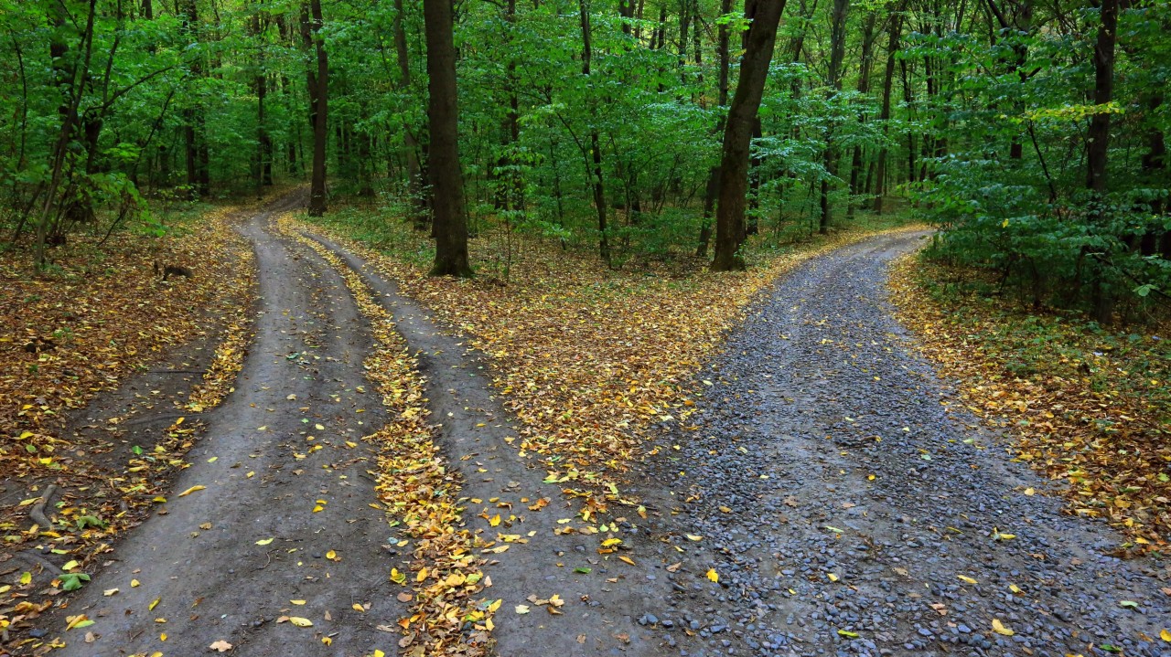 fork roads By Pavlo Klymenko [Adobe Stock Photos]